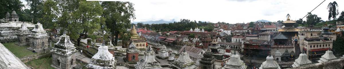 India & Nepal 2011 - 0267